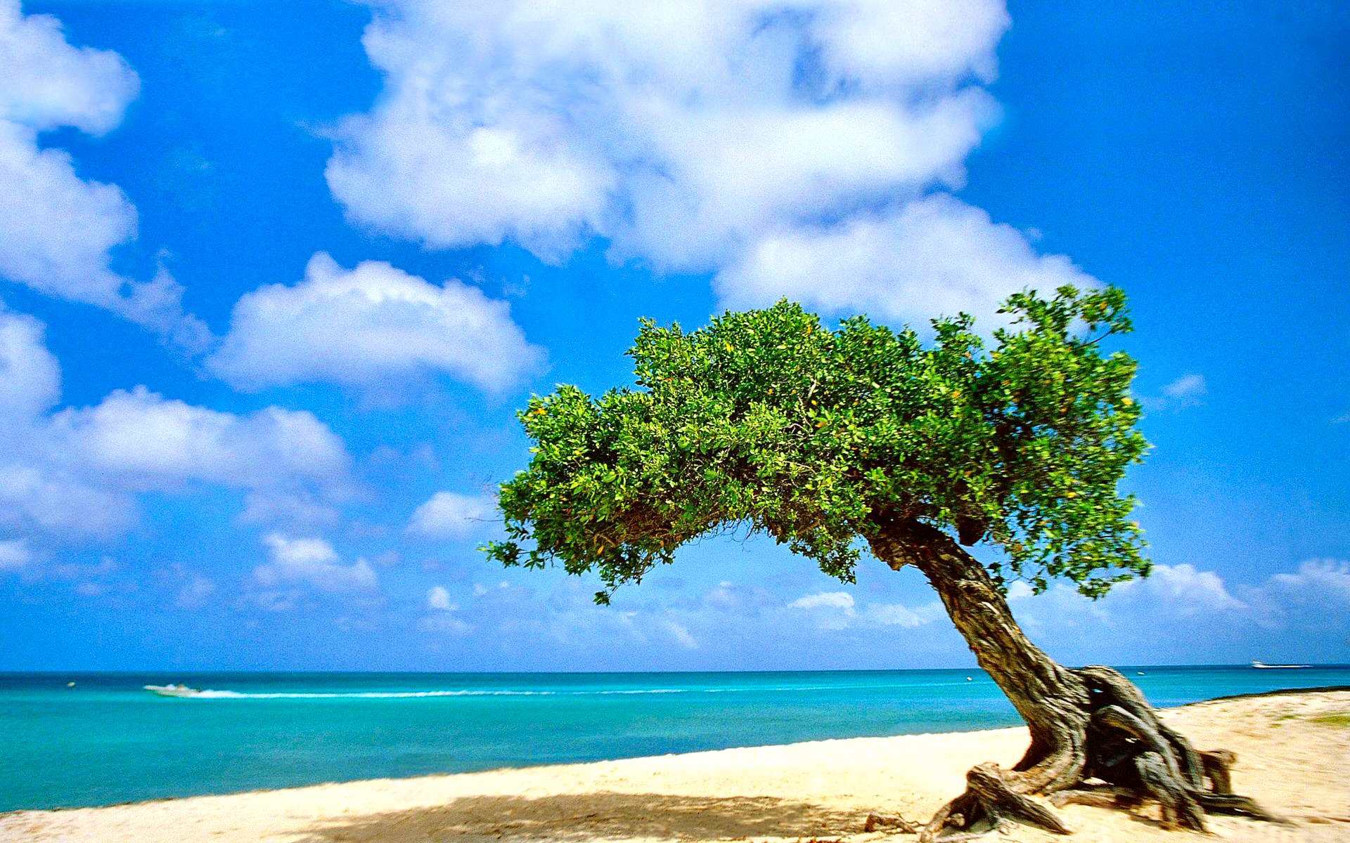 世界体操夏令营：青少年训练氛围浓厚成果丰硕，世界体操协会官网